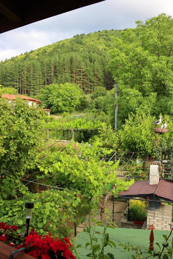 Green House - Попниколови Sapareva Banya Exterior photo