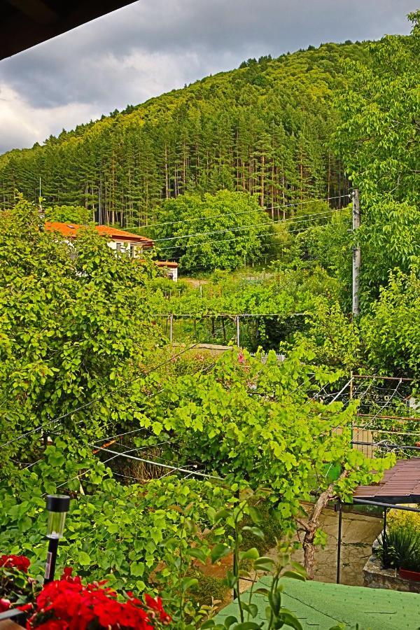 Green House - Попниколови Sapareva Banya Exterior photo